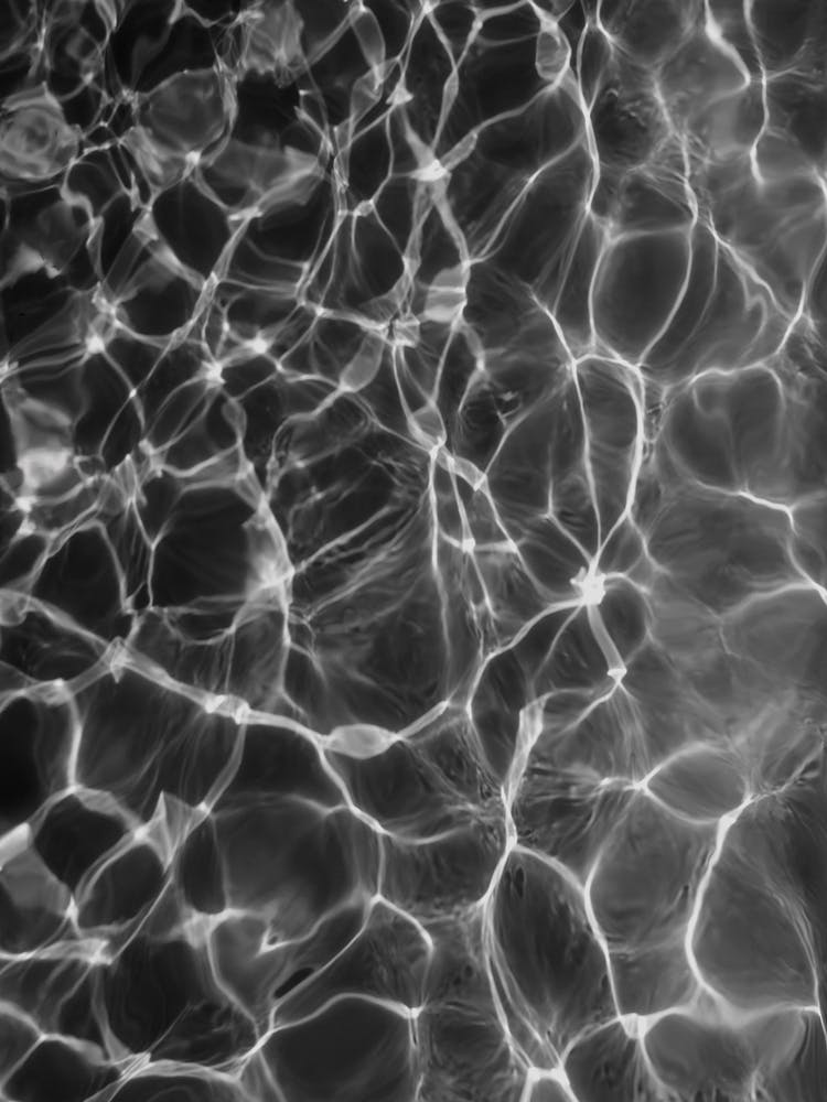 Black Water