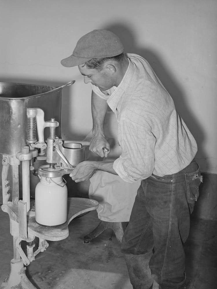 Member Of The Arizona Part Time Farms, Chandler Unit, Filling Milk Bottles In The Dairy Of The Farm, Maricopa County