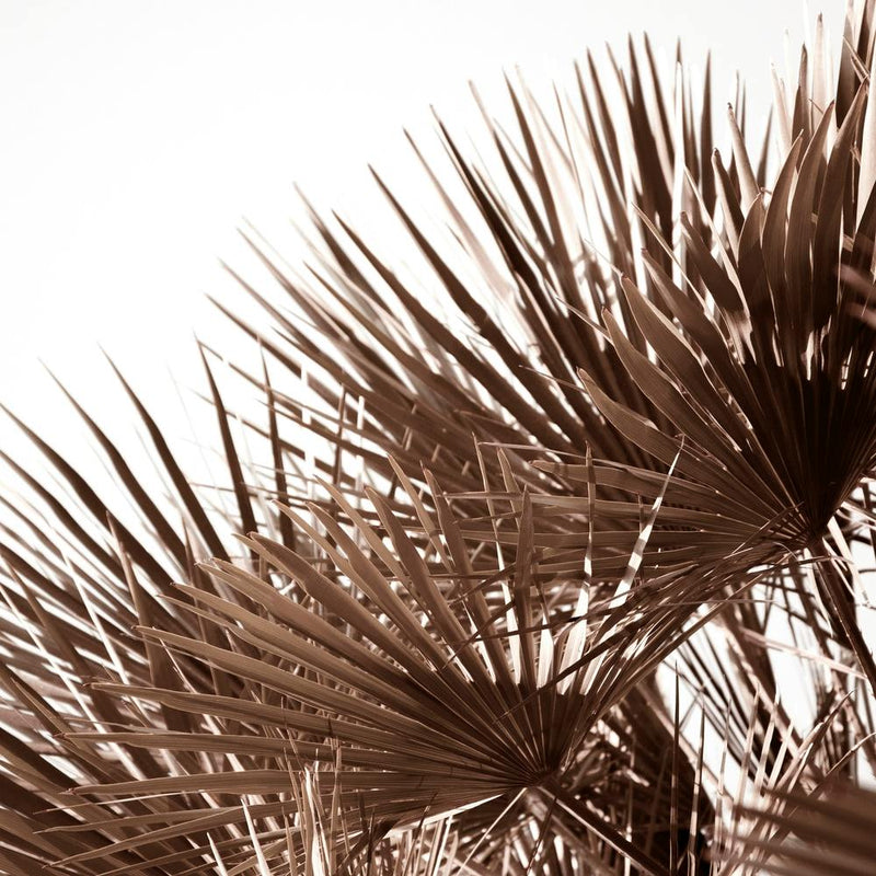 Gorgeous Golden Palm Leaves Square