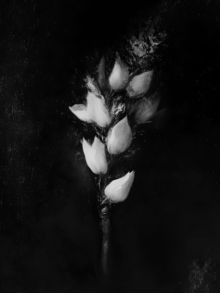 Black And White Flower 43