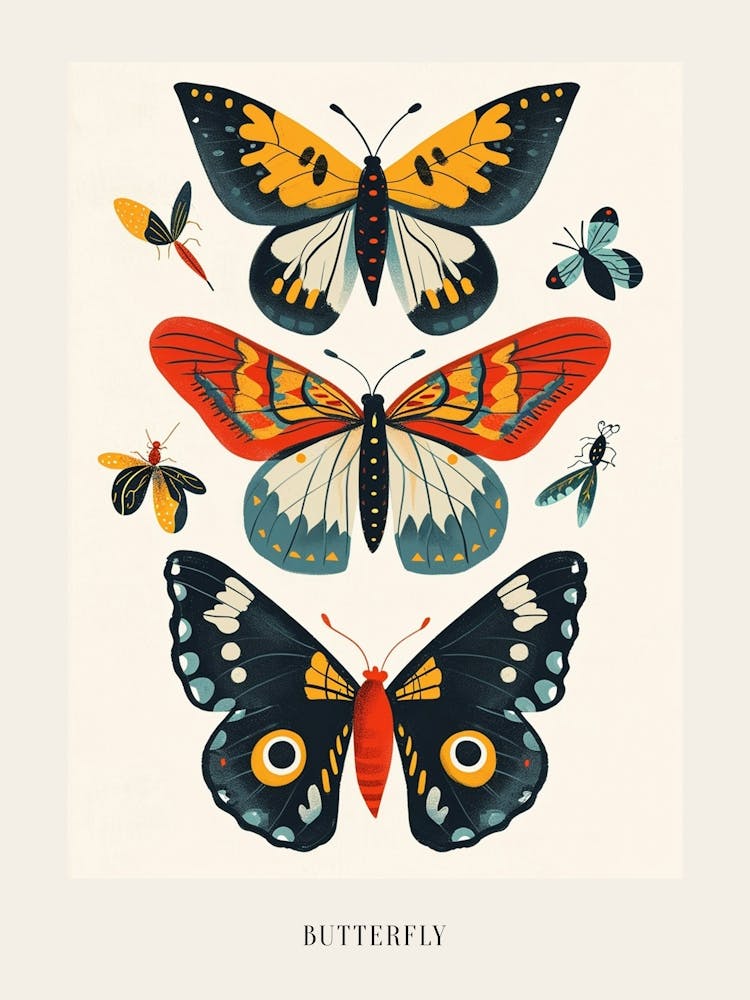 Colourful Insect Illustration Butterfly 7 Poster