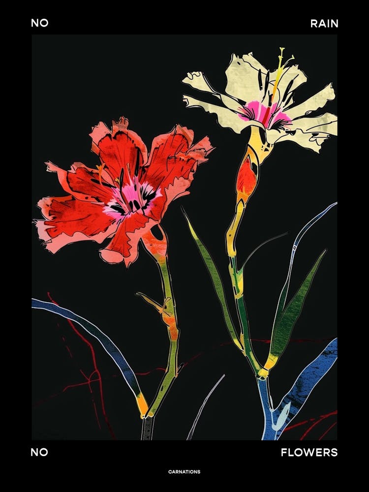 No Rain No Flowers Poster Carnation Dianthus 4