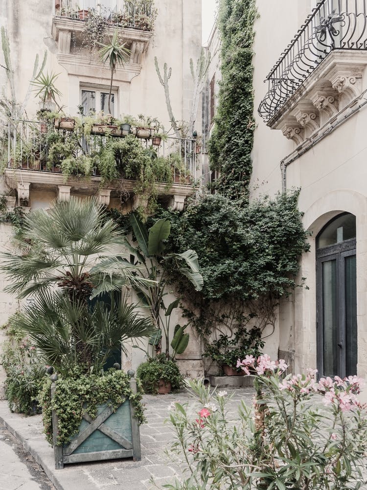 Alleyway With Plants