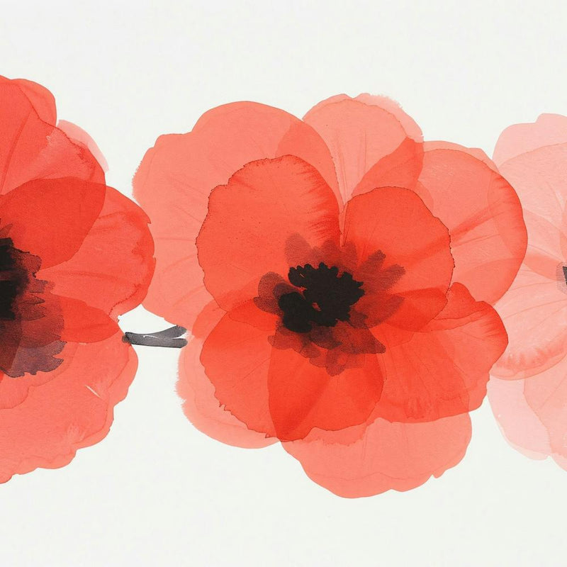 Red Poppies