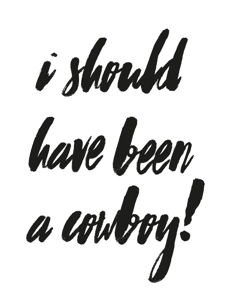 I Should Have Been A Cowboy
