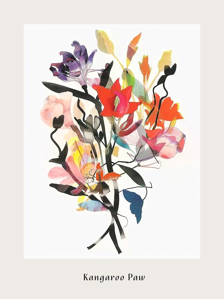 Kangaroo Paw 2 Collage Flower Bouquet Poster