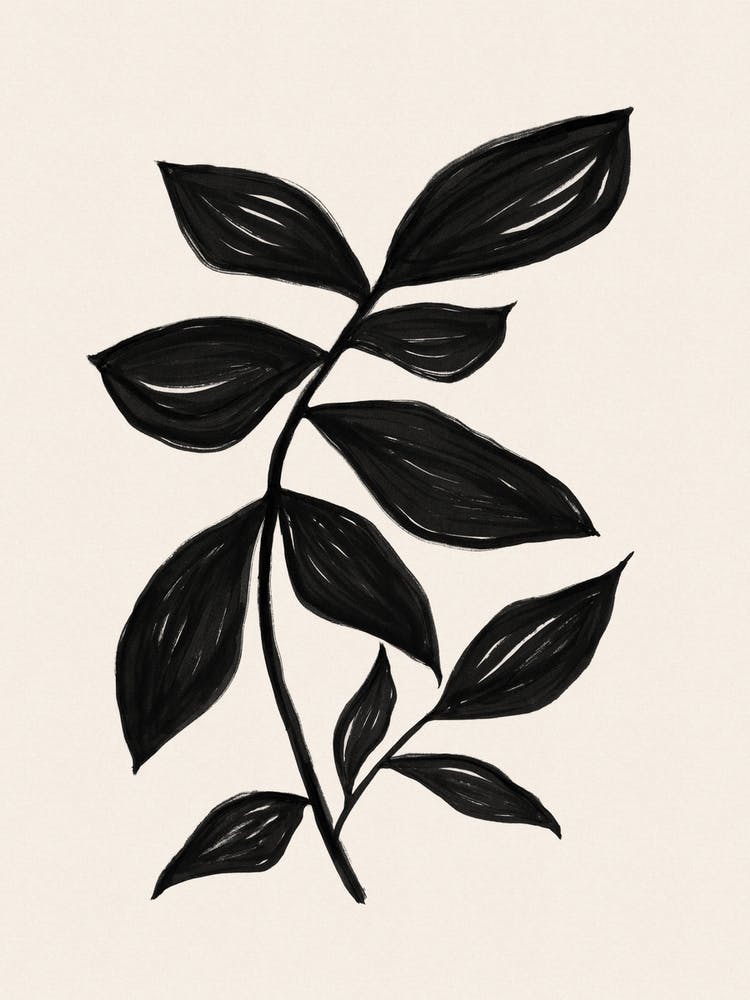 Minimalist Black Botanical - Leaf Study 2