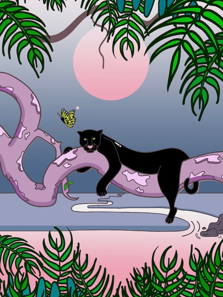 Der Panther und der Schmetterling