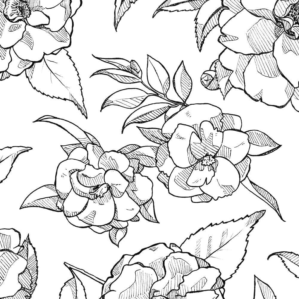 Camellias