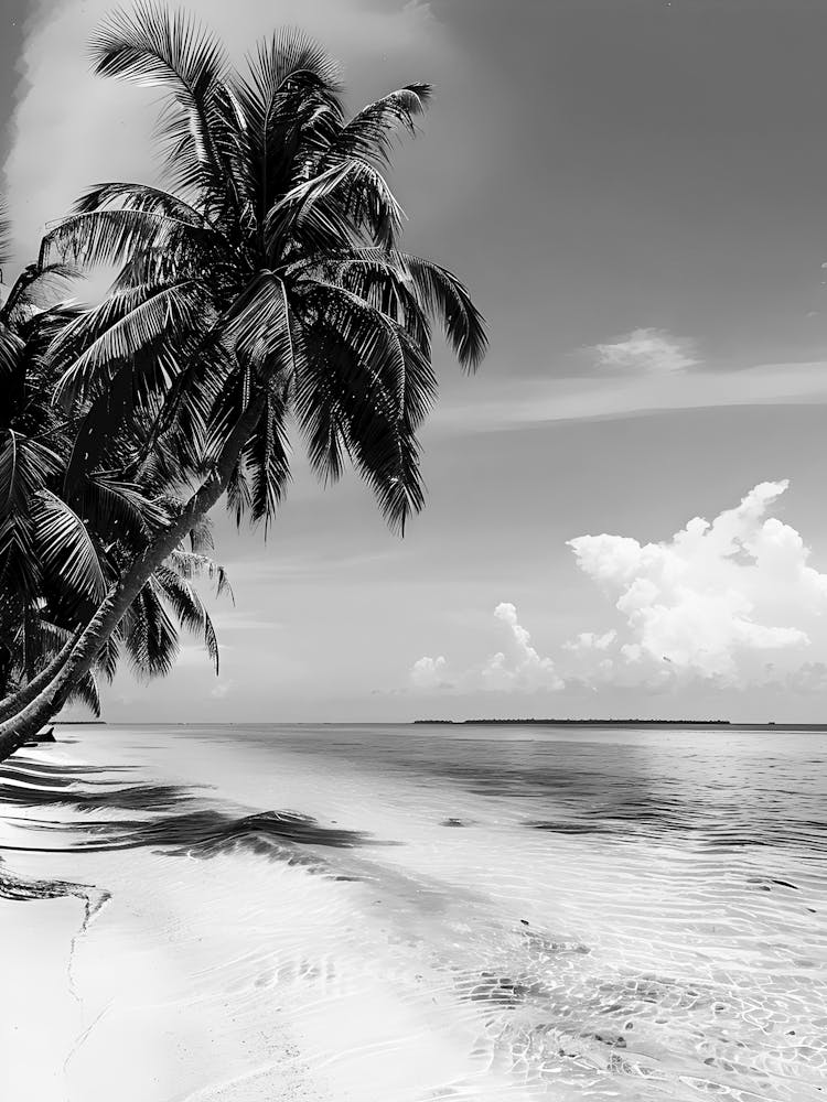 Black And White Beach 8