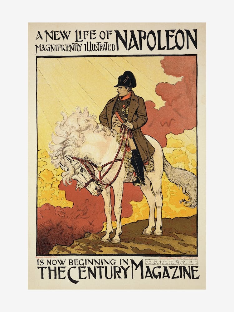 A New Life Of Napoleon