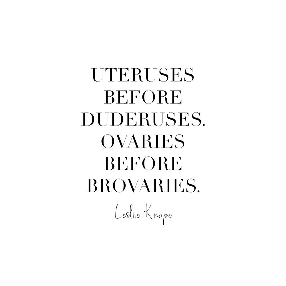 Uteruses Before Duderuses. Ovaries Before Brovaries Leslie Knope Quote