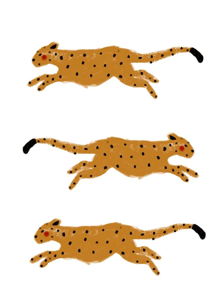 Léopards orange bondissants