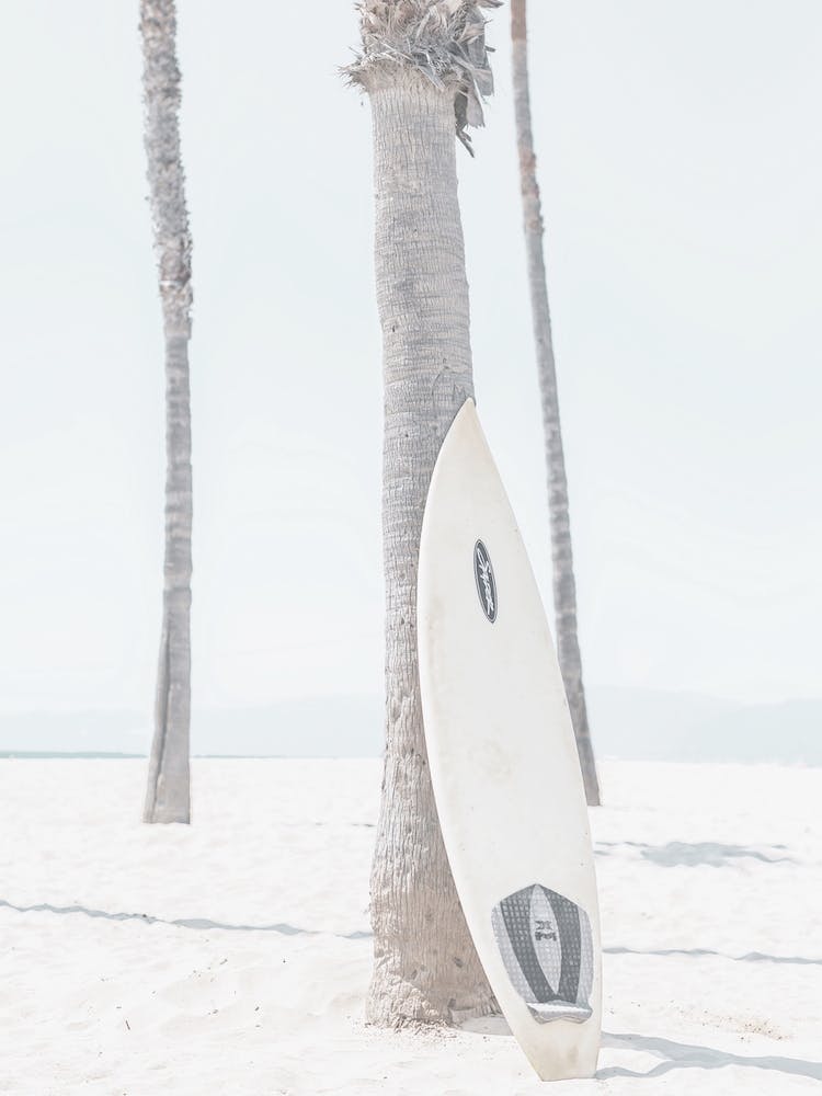 Ocean Surfboard