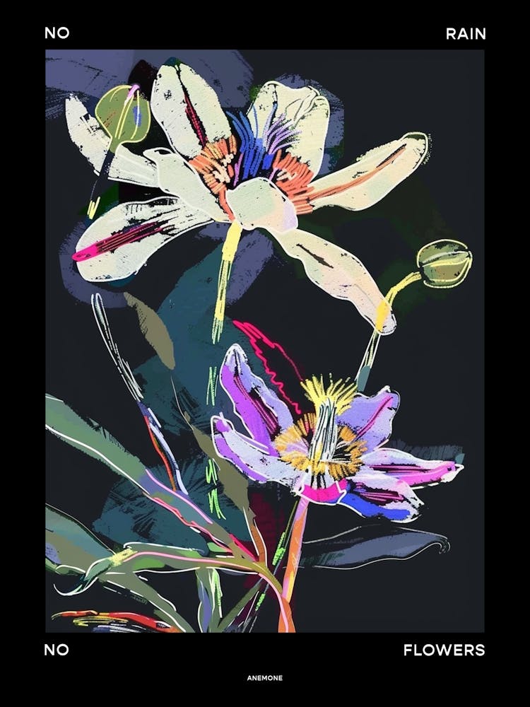 No Rain No Flowers Poster Anemone 4