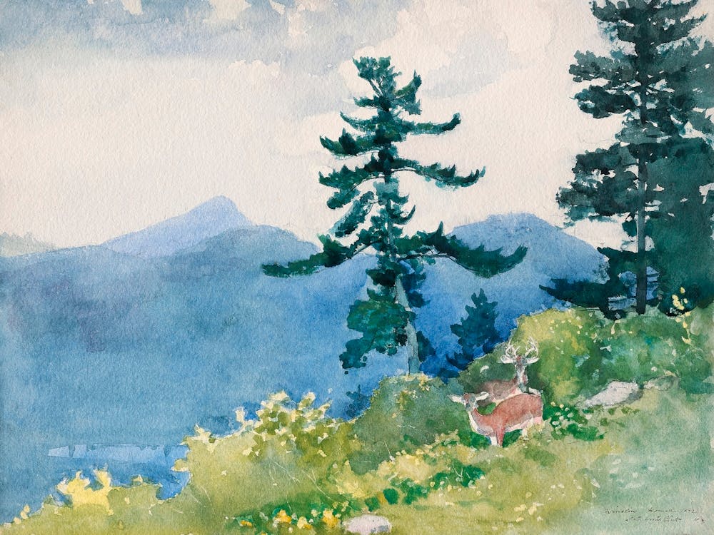 North Woods Club, Adirondacks (The Interrupted Tete A Tete) (1892), Winslow Homer
