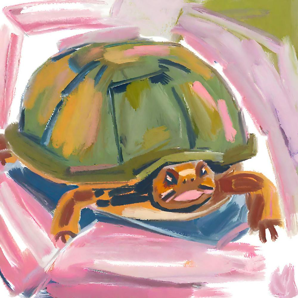 Box Turtle 03