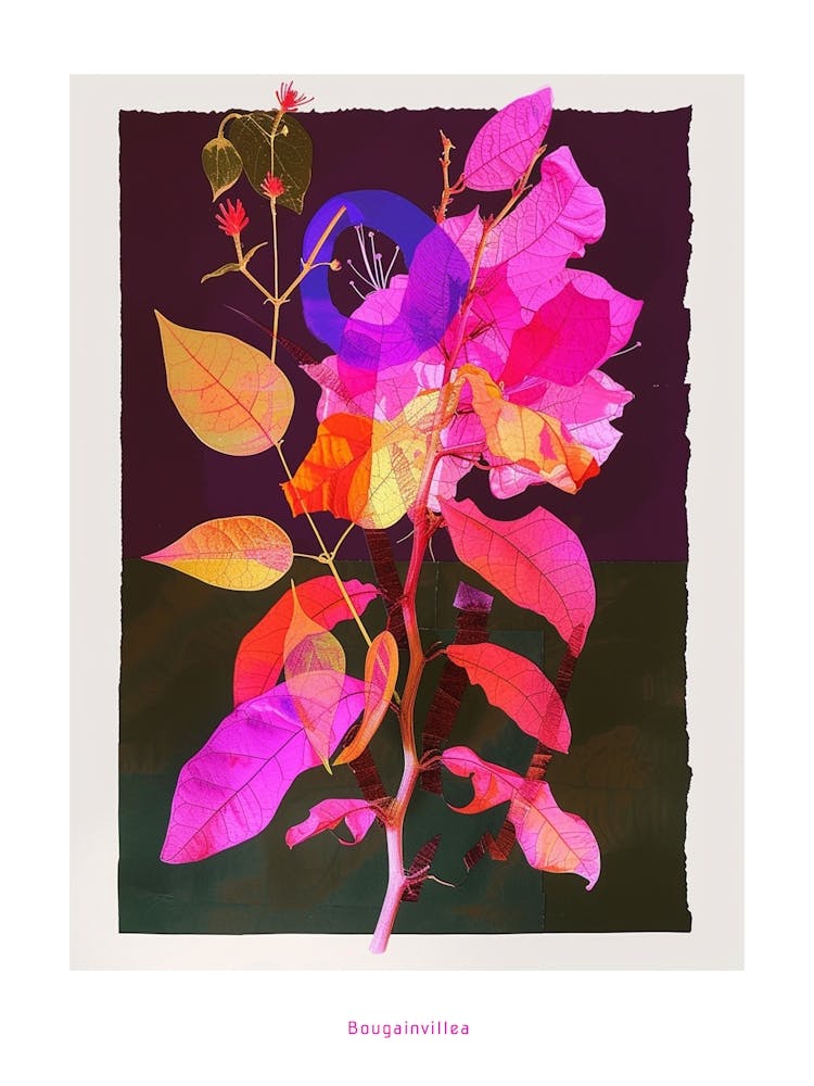 Bougainvillea 1 Neon Flower Collage Poster