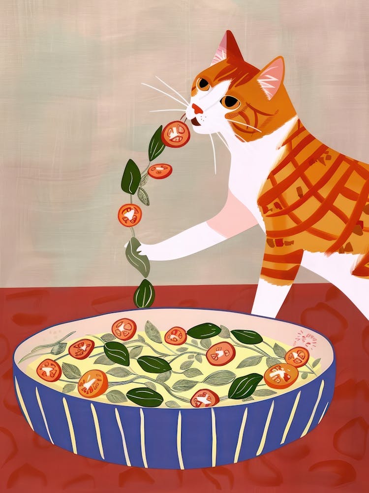 Katze Und Großer Salat