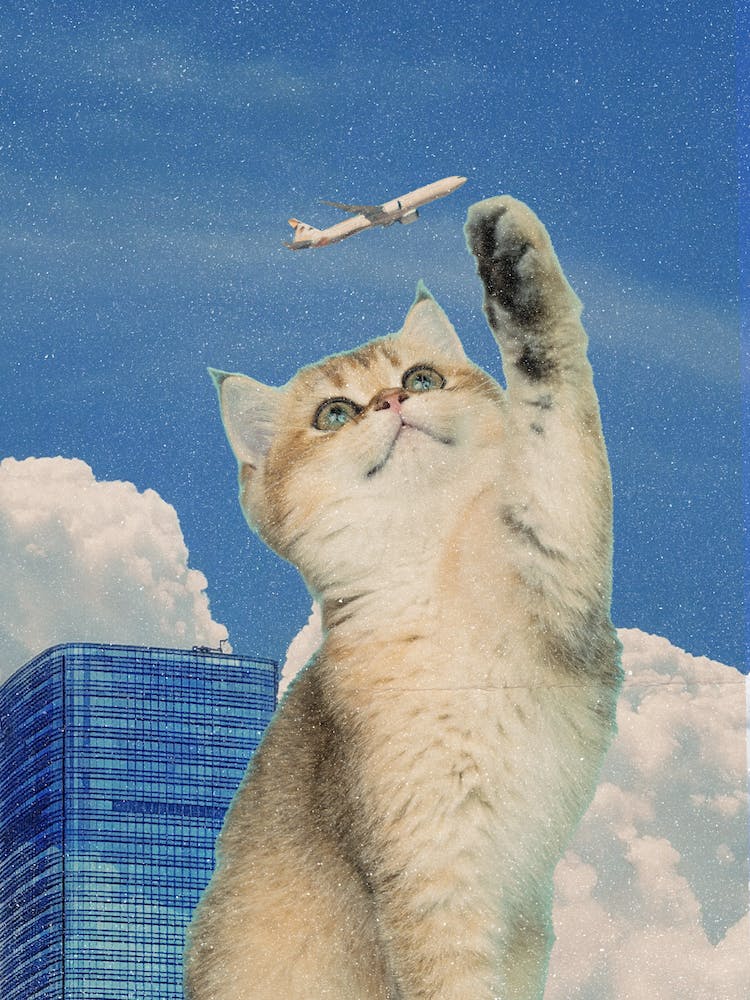 The Cat Goes For The Bird