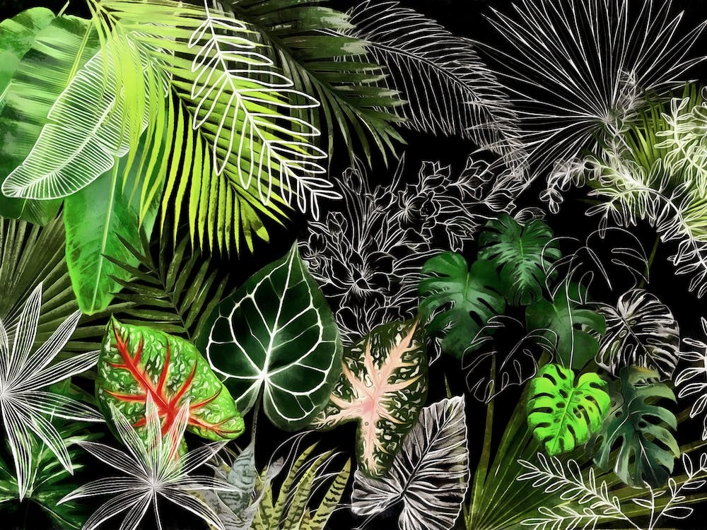 Tropical Foliage 4