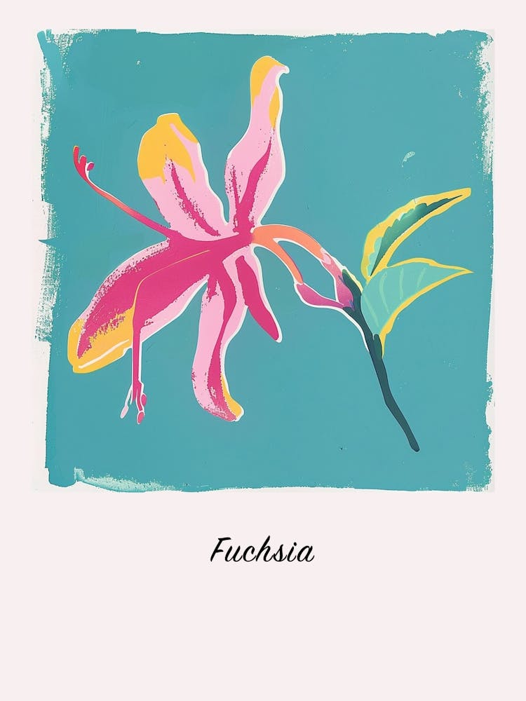 Fuchsia 2 Square Flower Illustration Poster