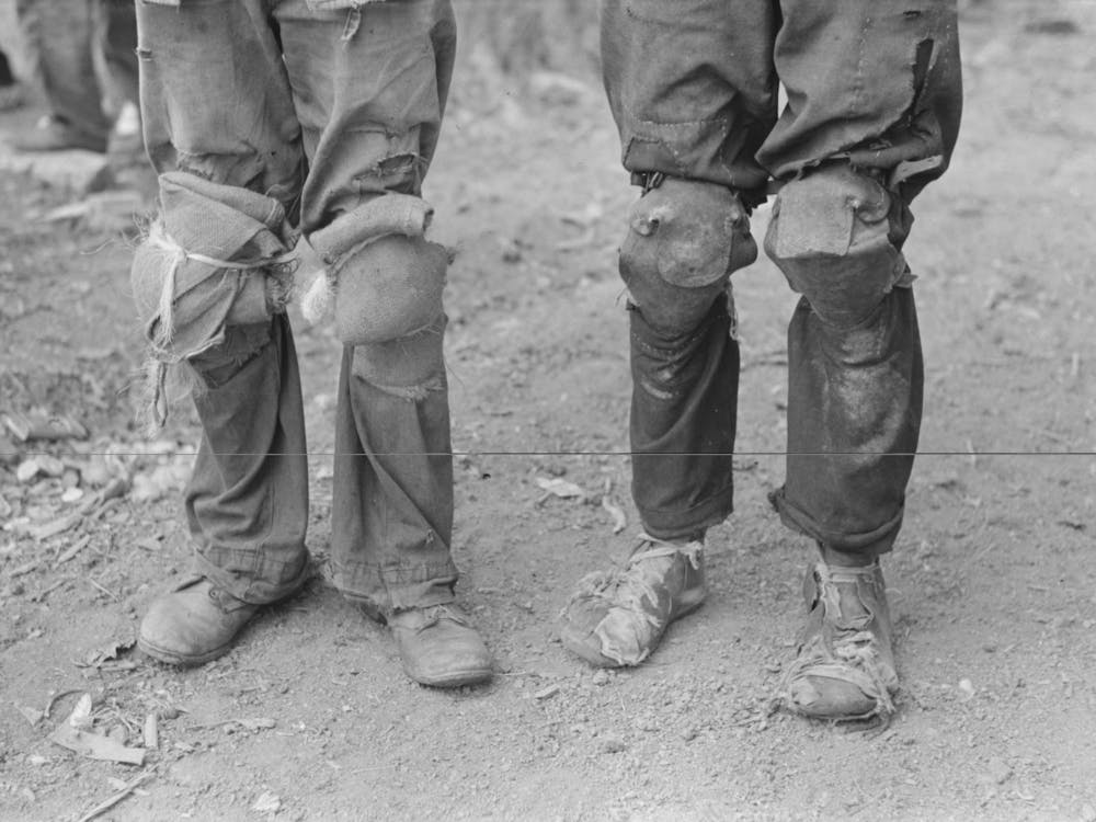 Cotton Pickers With Knee Pads, Lehi, Arkansas By Russell Lee