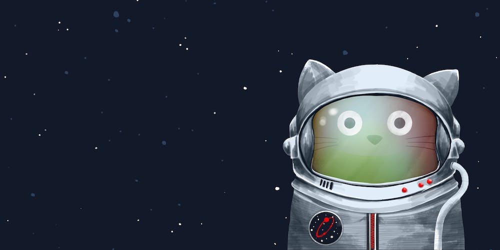 Cat Astronaut