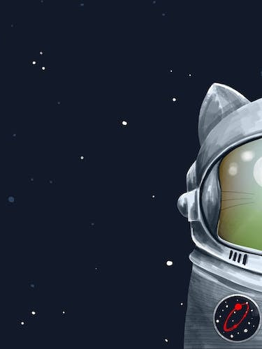 Cat Astronaut