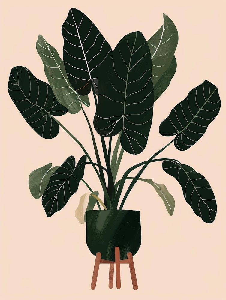 Flora 12