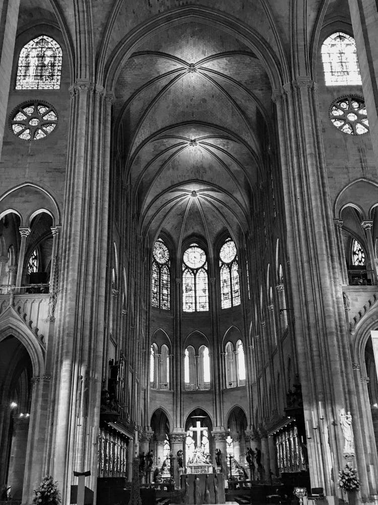 Inside Old Notre Dame Cathedral (Paris Series)