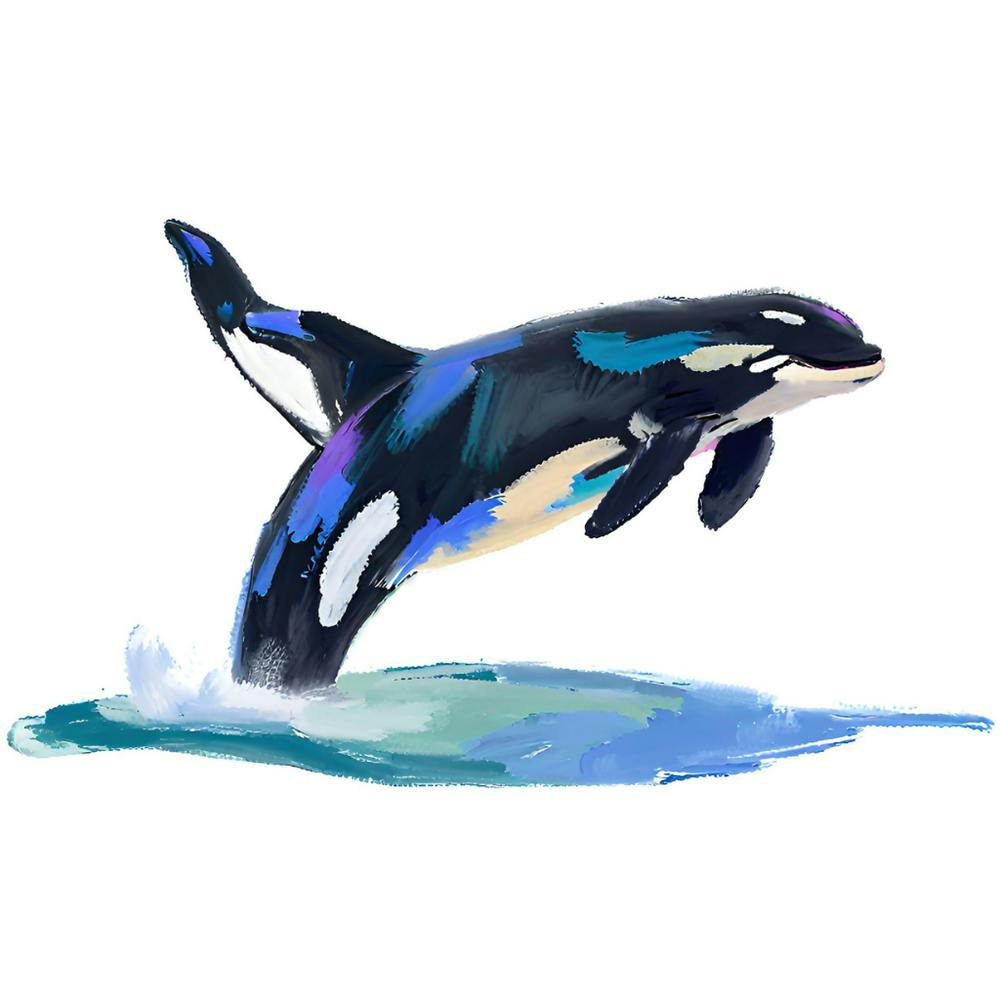 Orca Whale 04