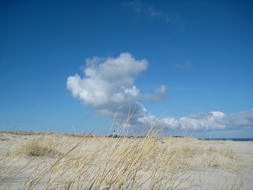 Cloud over the Beach