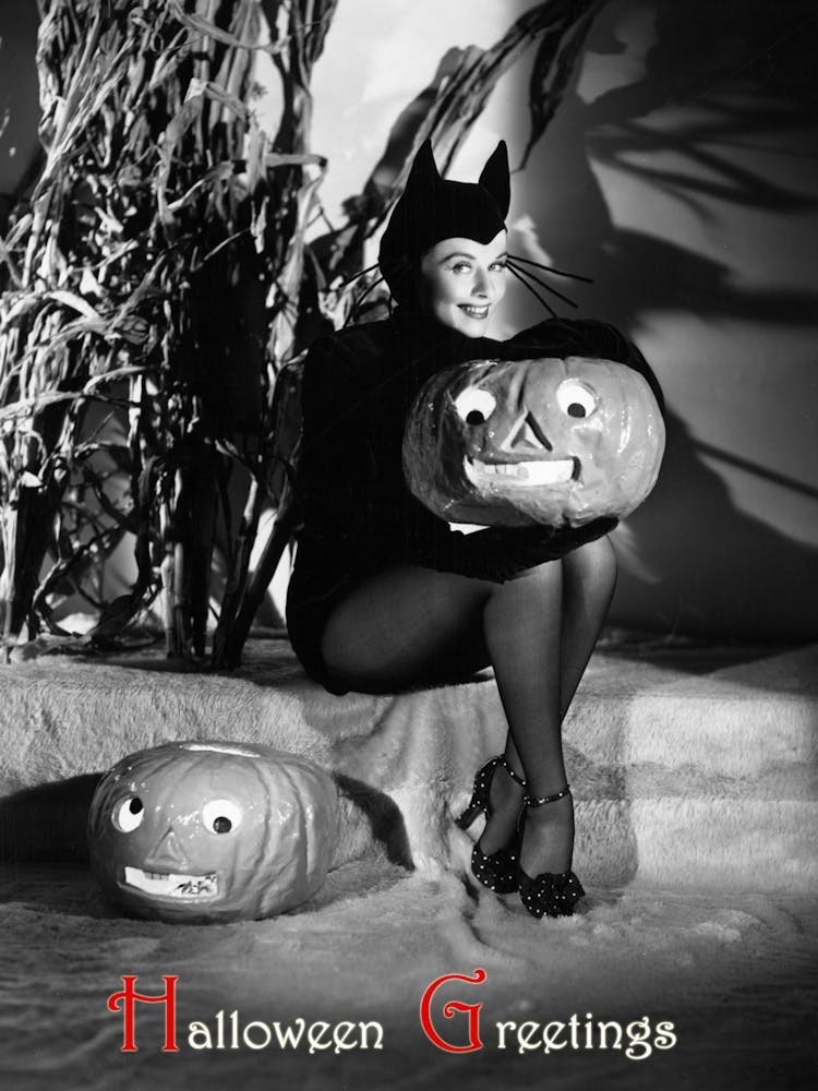 Pin Up Cat Woman With Pumpkins