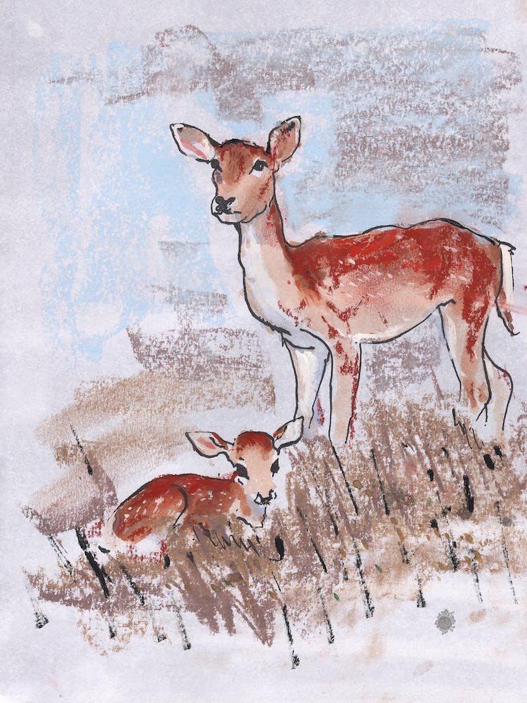 Doe With Fawn