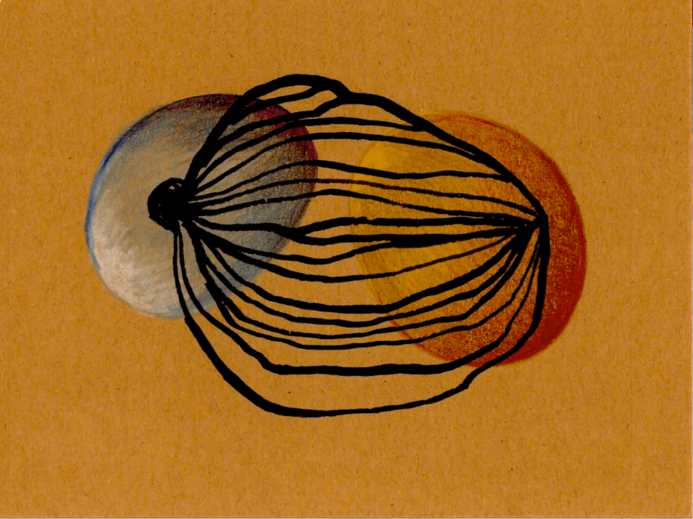 Gourd 1