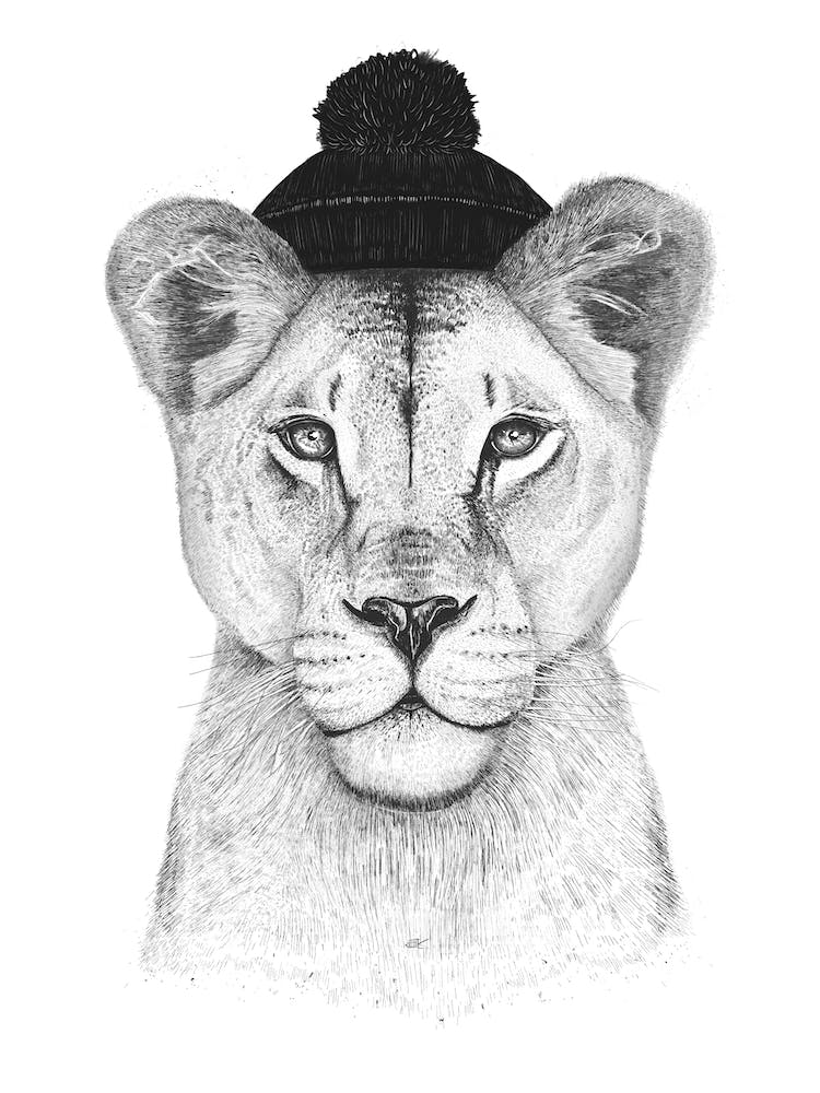 Lioness In Hat