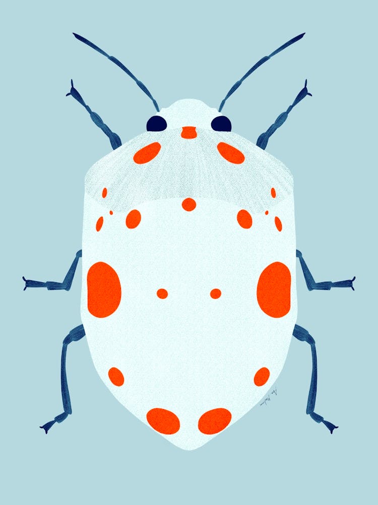 Cute beetle