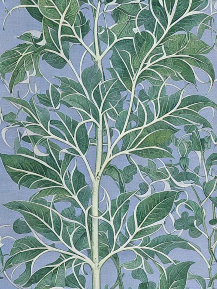 Melon 2 Vintage Botanical Fruit