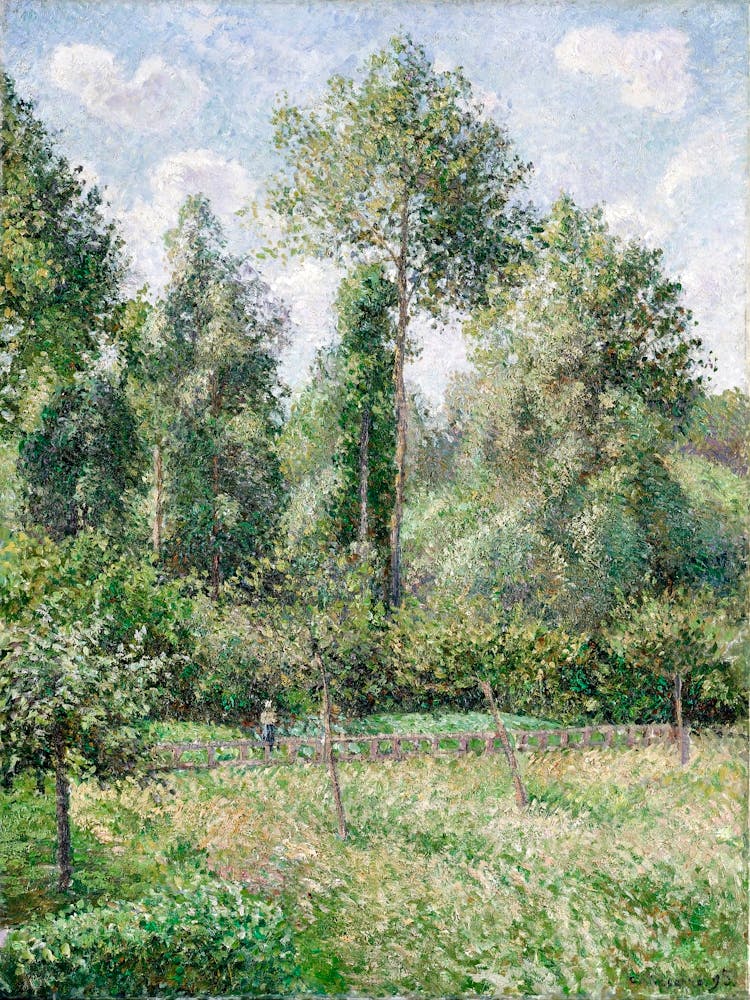 Poplars, Éragny (1895), Camille Pissarro