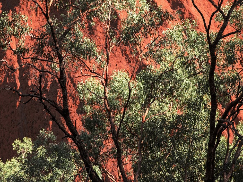 Uluru Australien