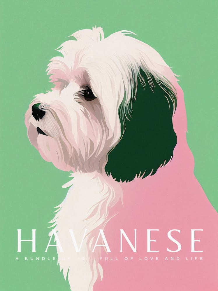 Artful Havanese Dog Retro Poster Turquoise
