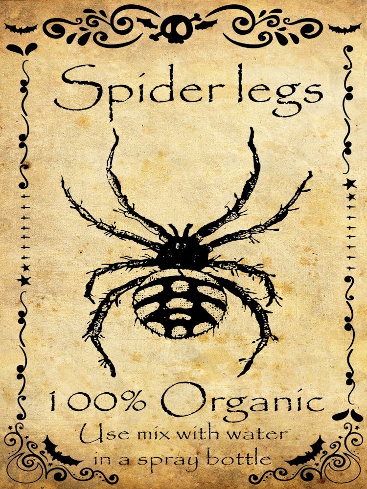 Spider Legs