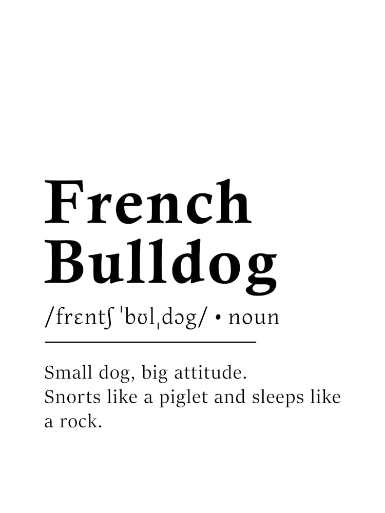 French Bulldog Definition Poster - Dictionary