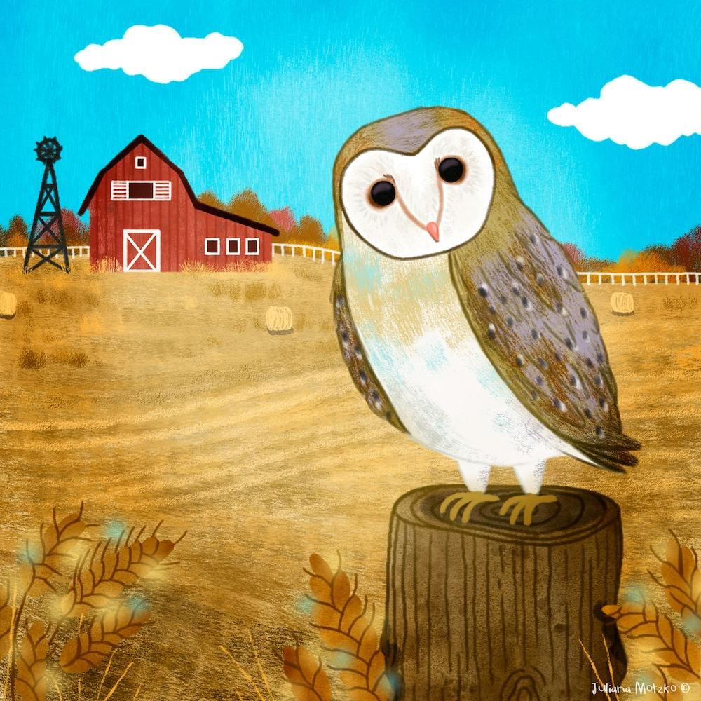 Barn Owl Square