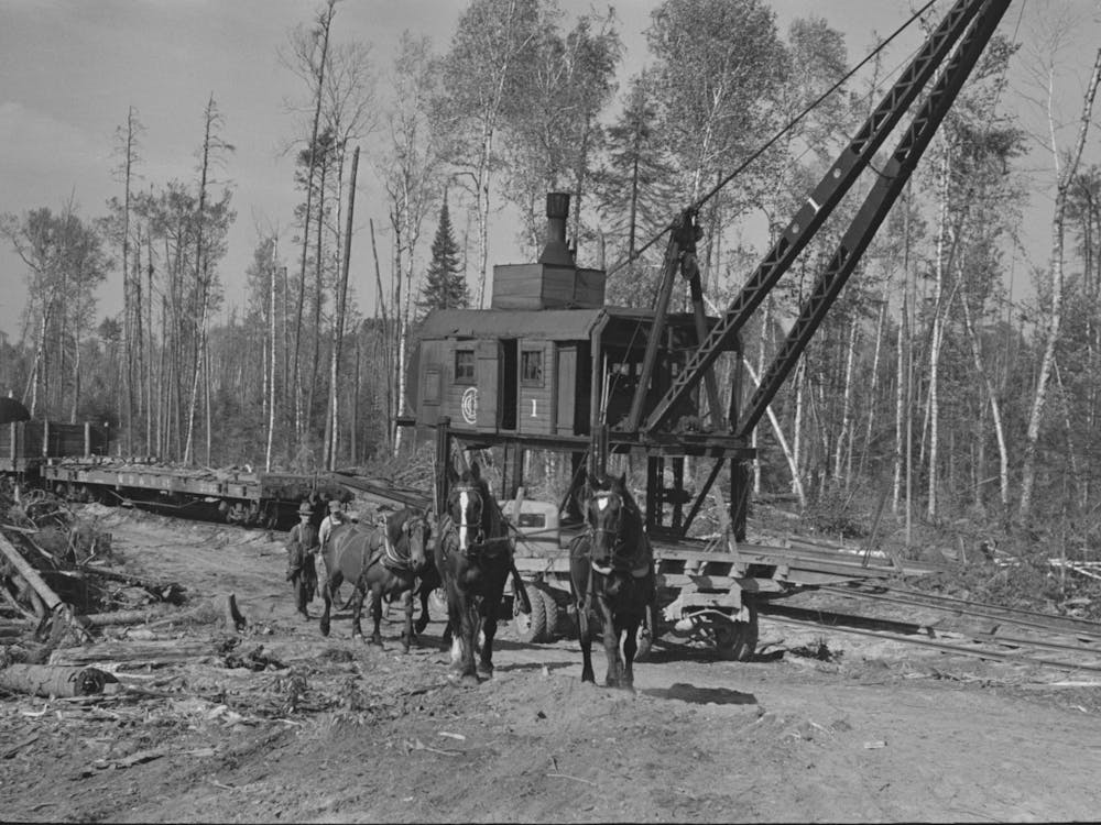 Untitled Photo, Possibly Related To Caterpillar Drawing Logs Through The Woods At Camp Near Effie, Minnesota