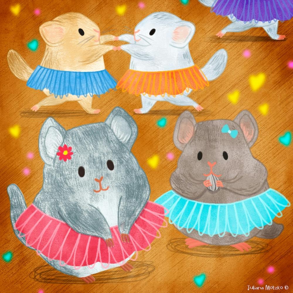 Chinchillas Ballet Class Square