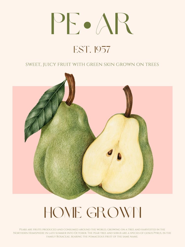 Pear Fruit Mid Century