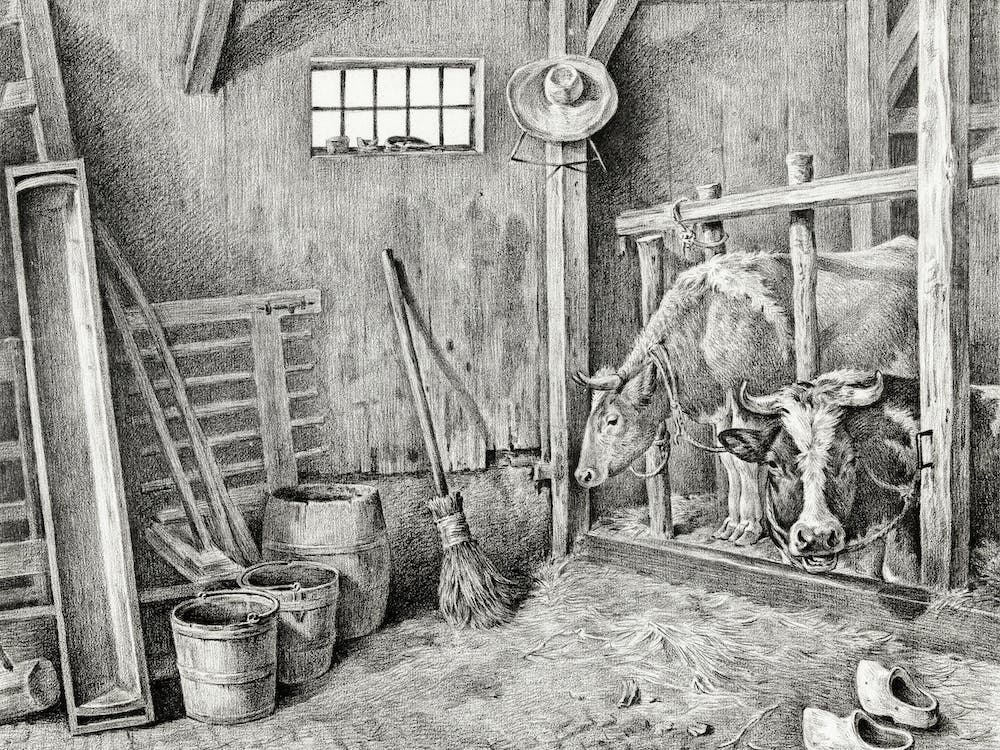 Two Cows, Jean Bernard