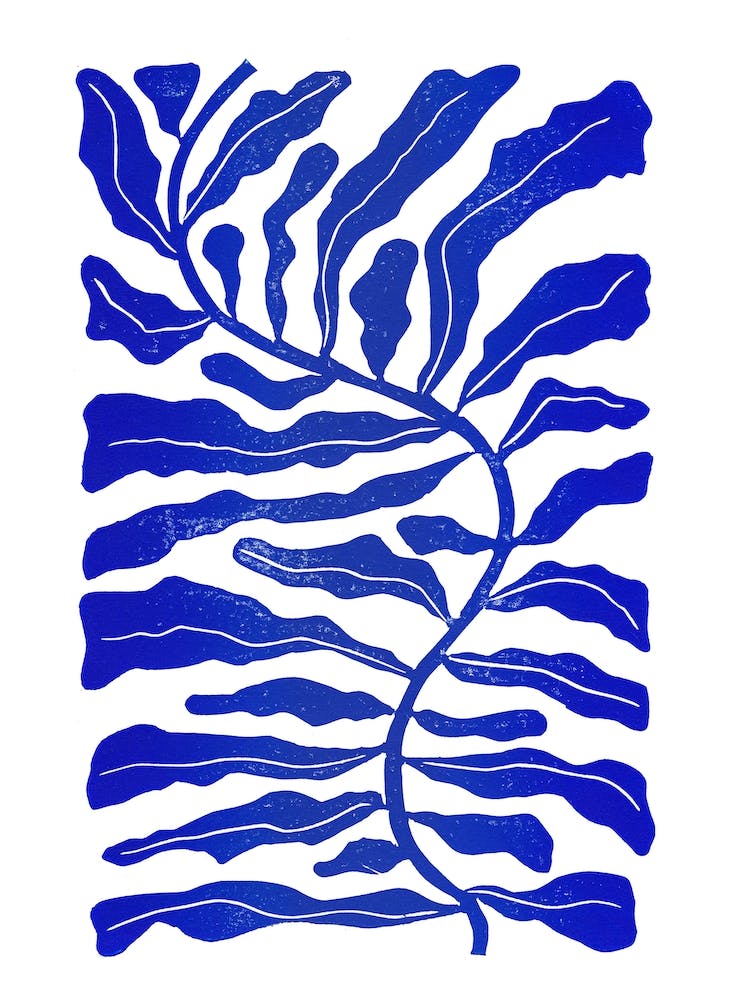 Blue Kelp